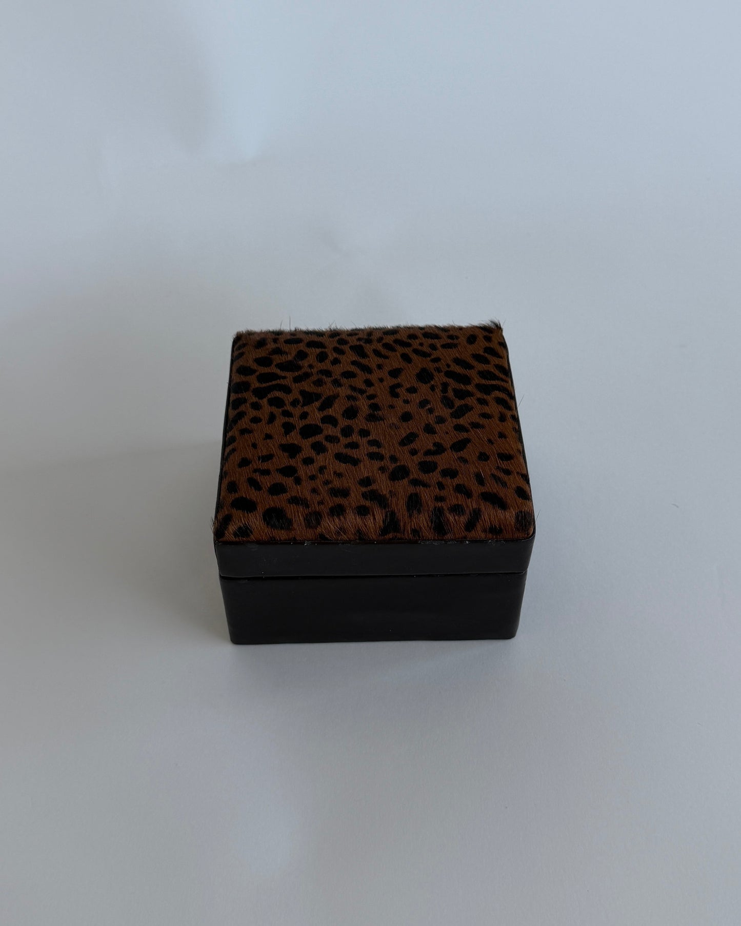 Pony Hair - Style Jewelry Box