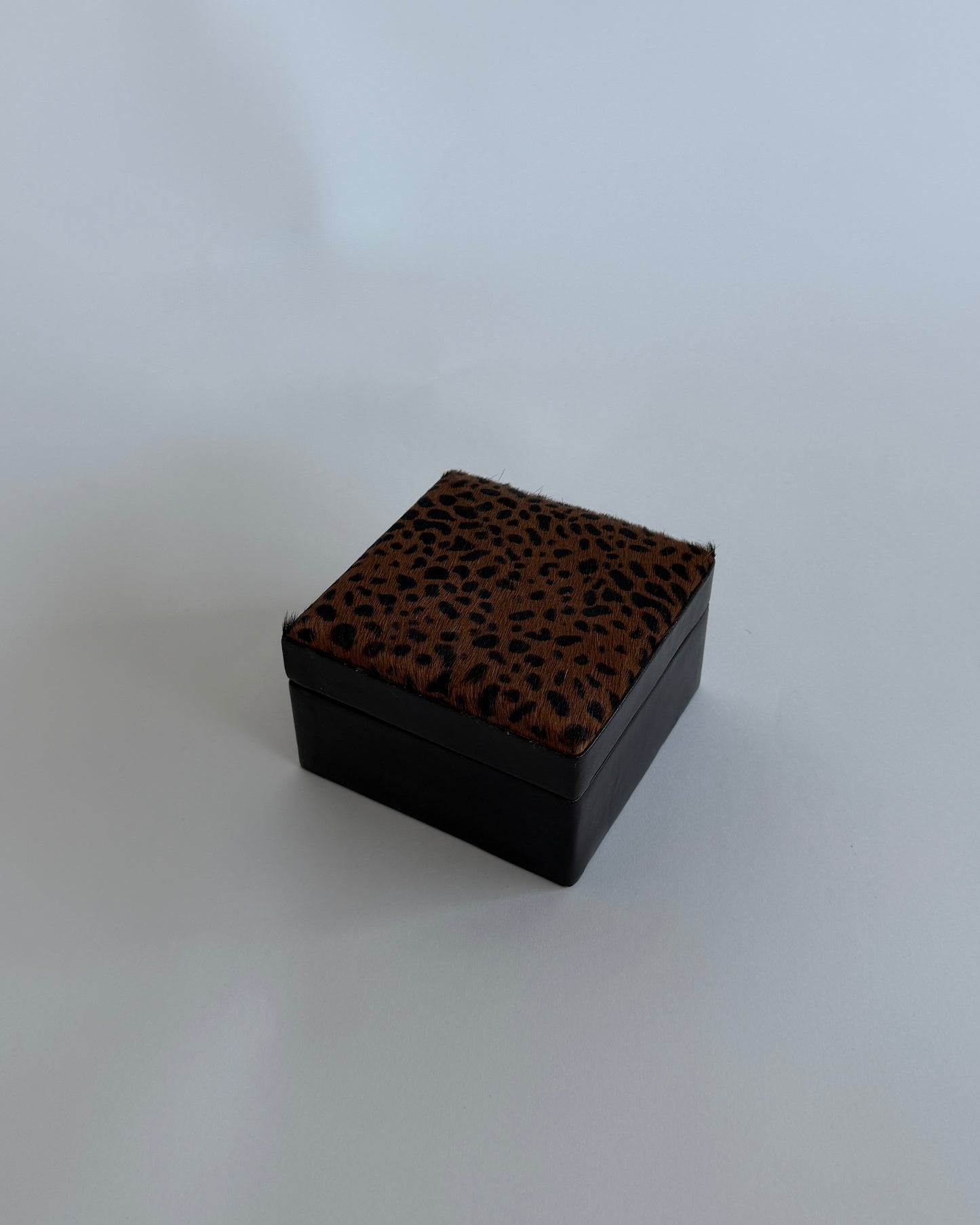 Pony Hair - Style Jewelry Box