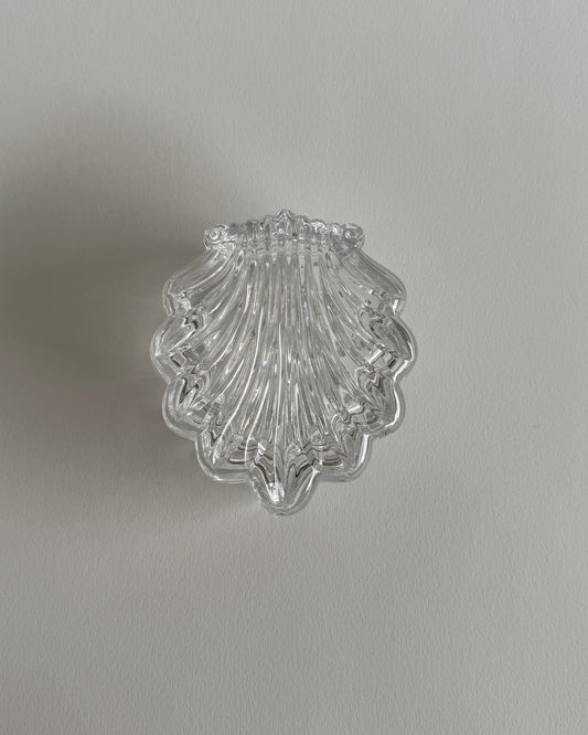 Shell Glass Box