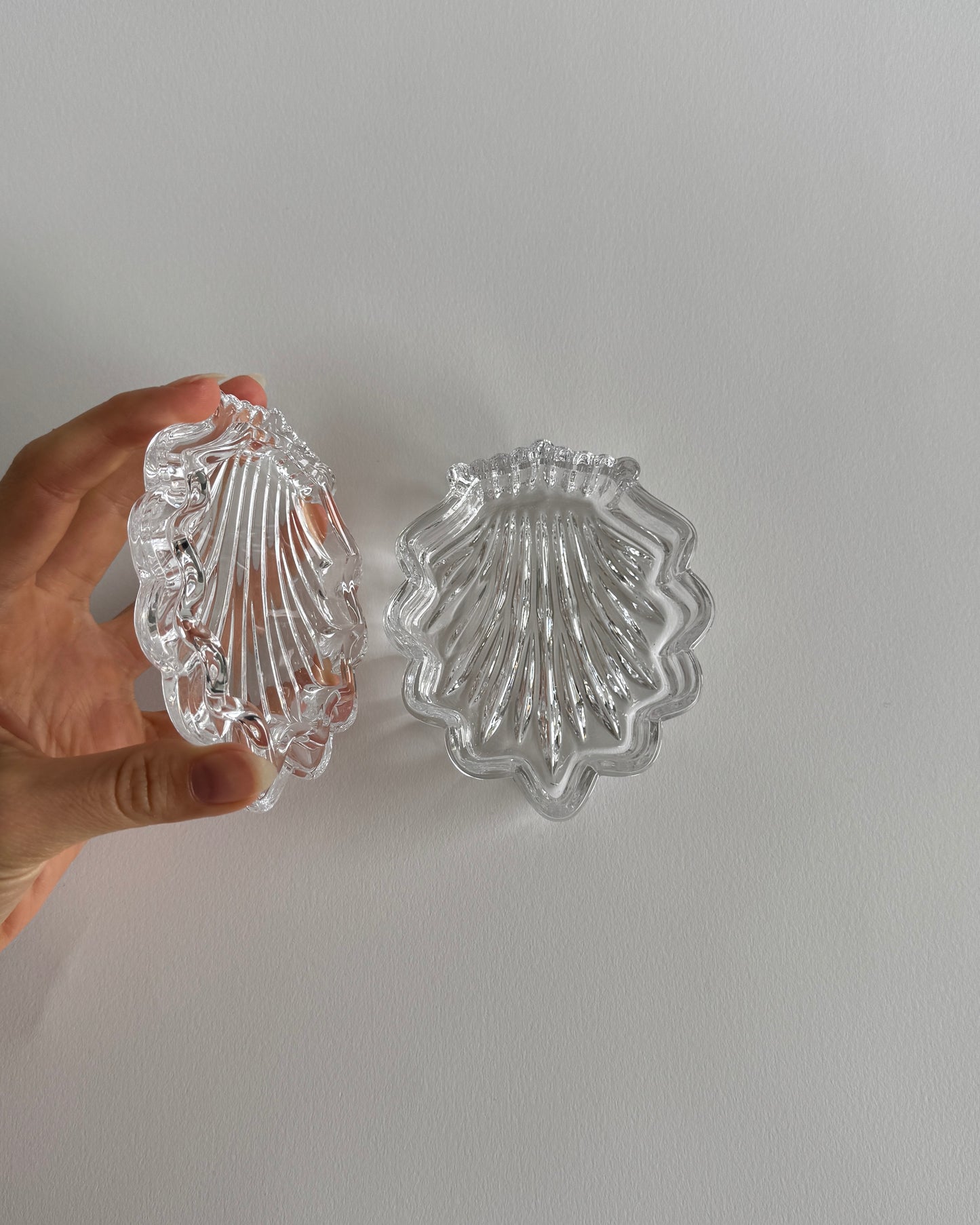 Shell Glass Box