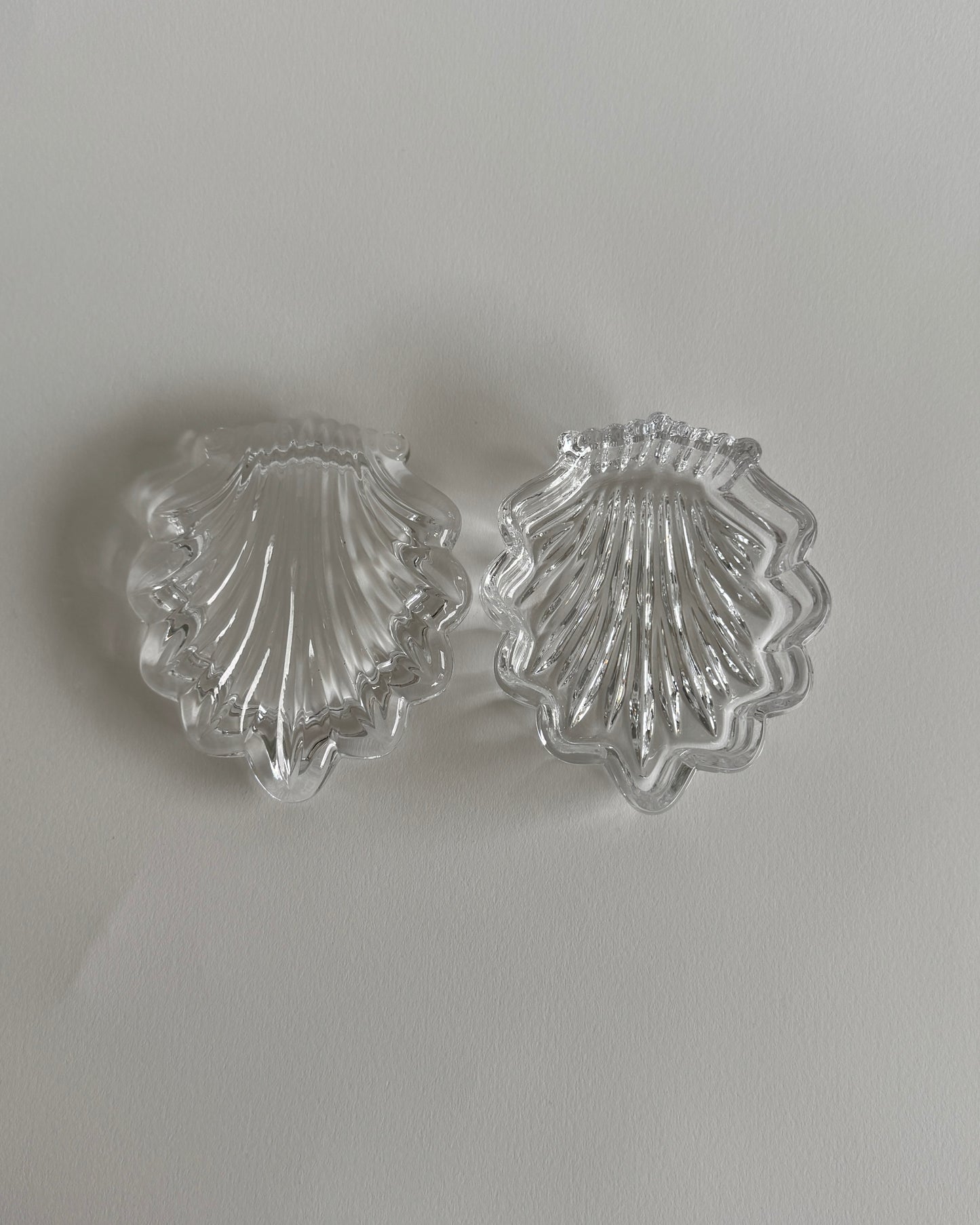 Shell Glass Box
