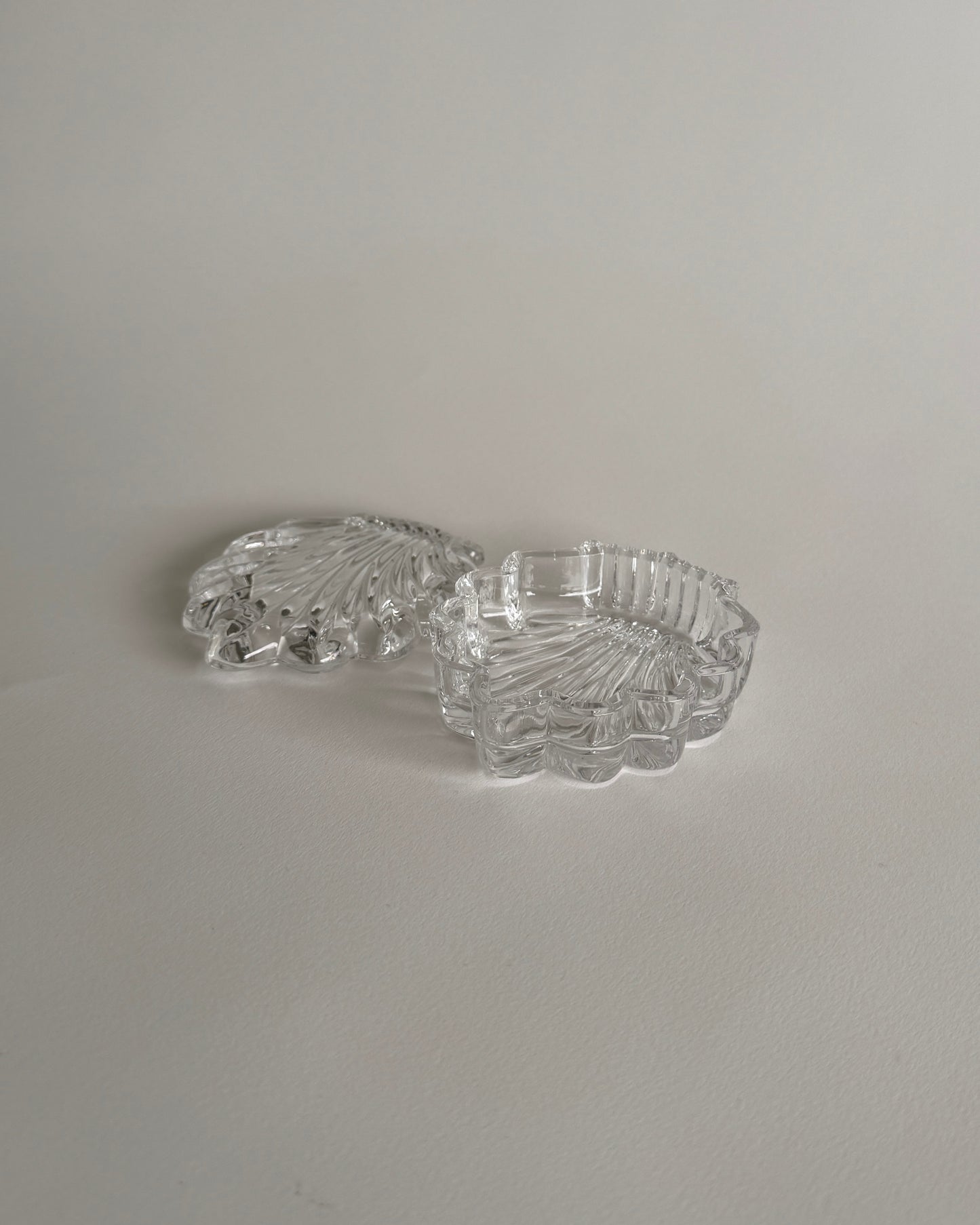 Shell Glass Box