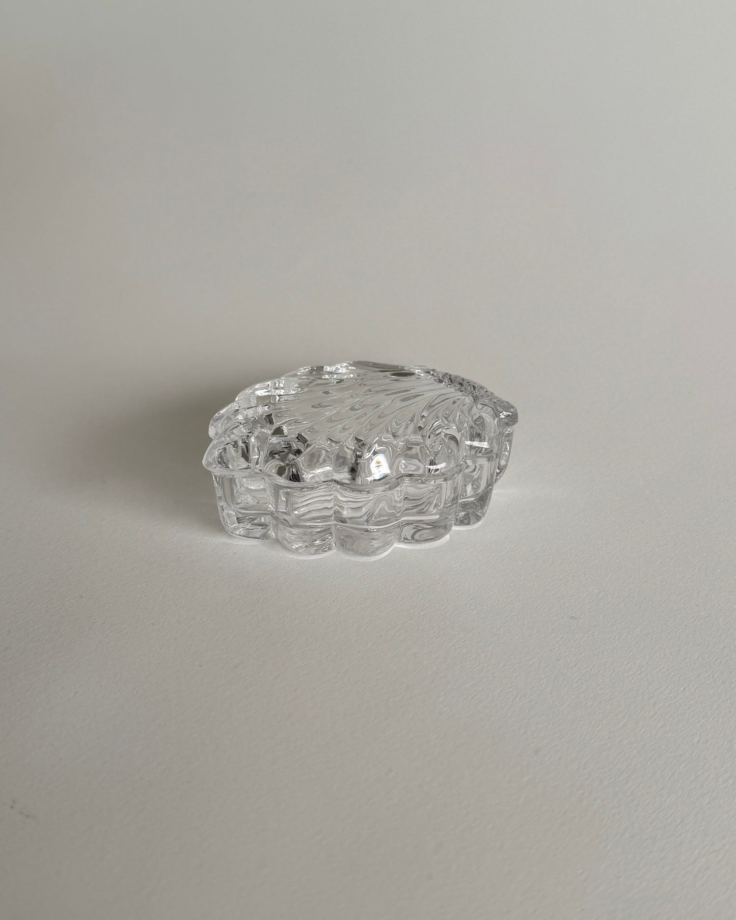 Shell Glass Box