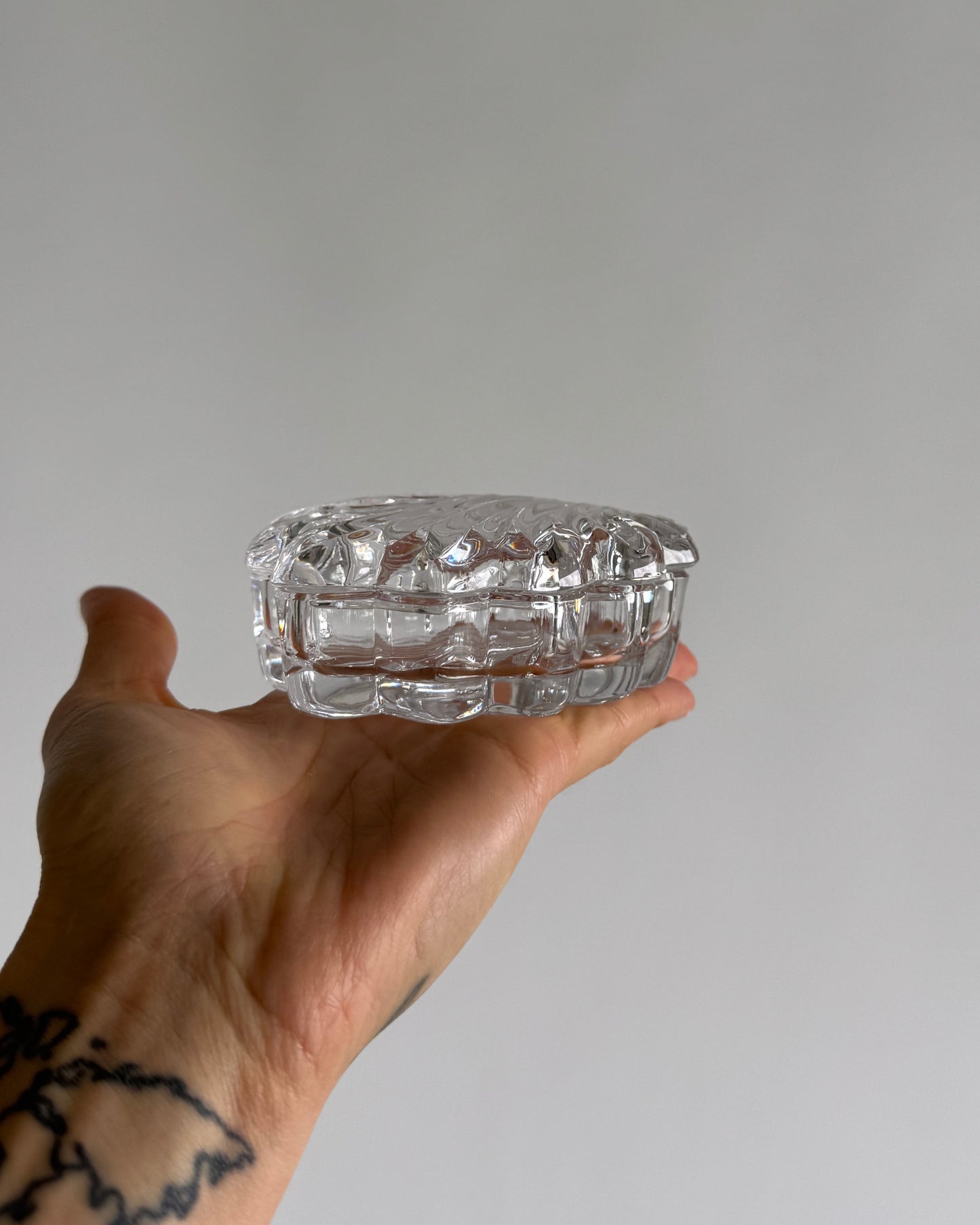 Shell Glass Box