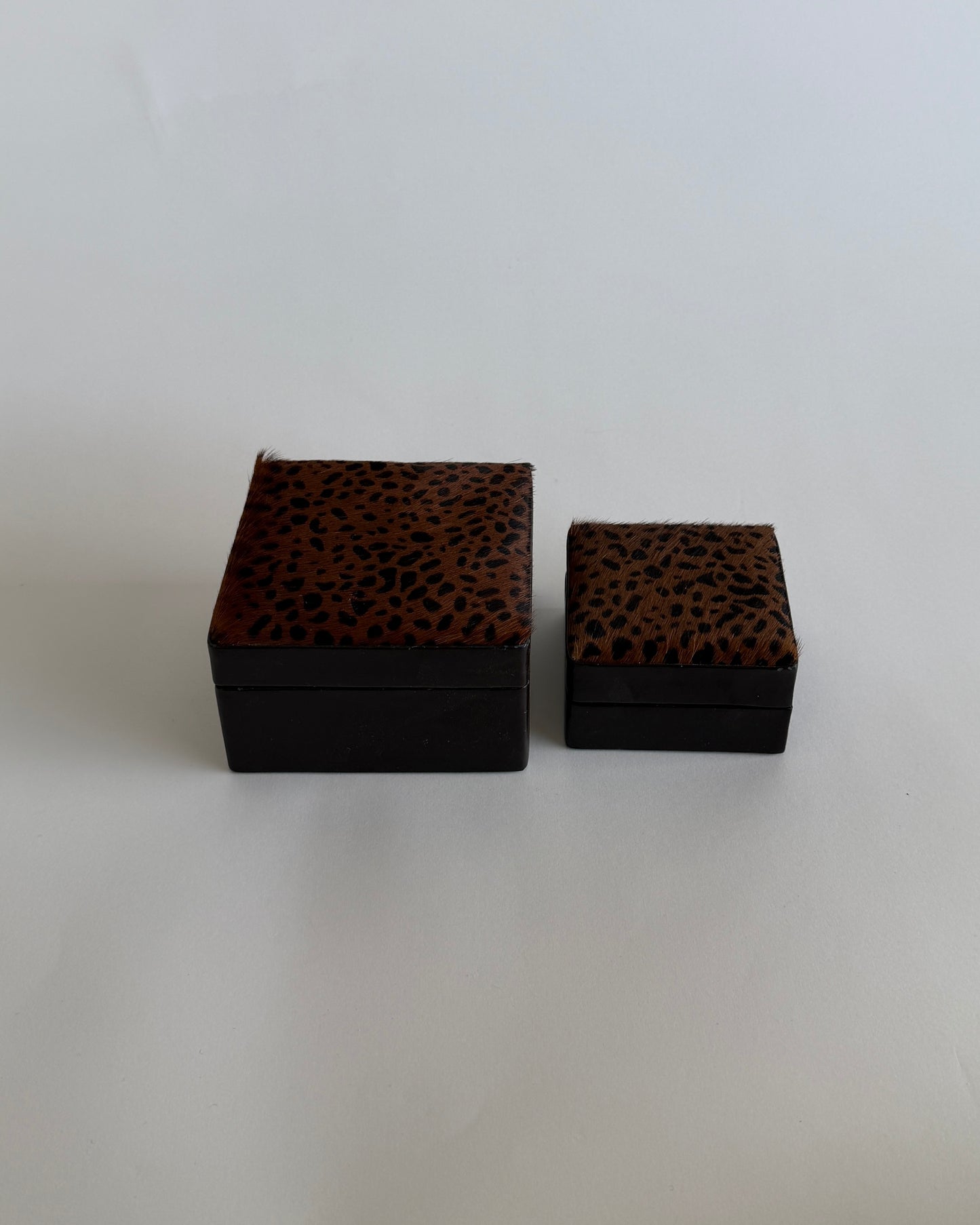 Box Set in Pony Hair Style
