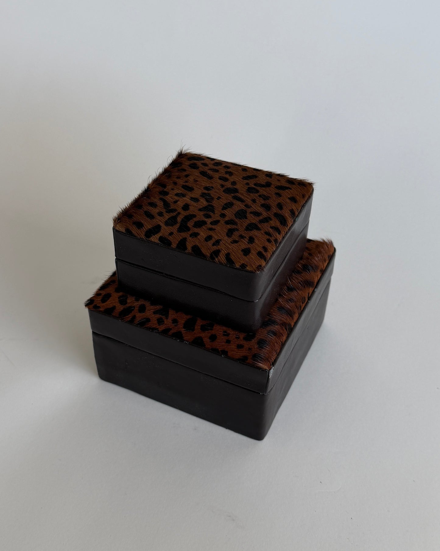 Box Set in Pony Hair Style