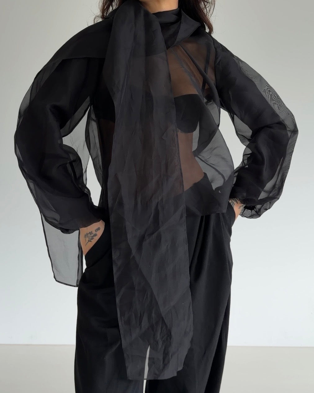 Sheer Organza Tie-Neck Blouse