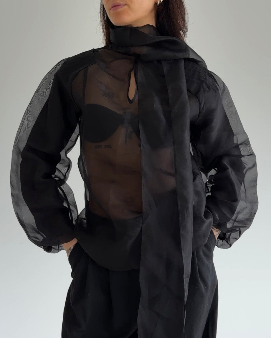 Sheer Organza Tie-Neck Blouse