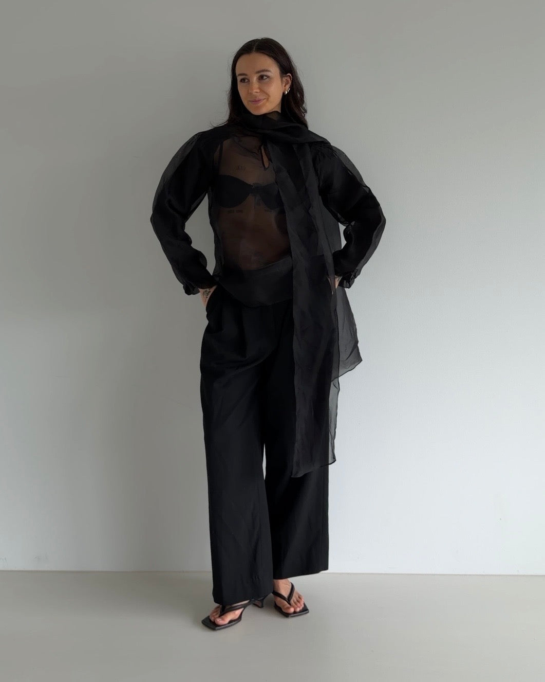 Sheer Organza Tie-Neck Blouse