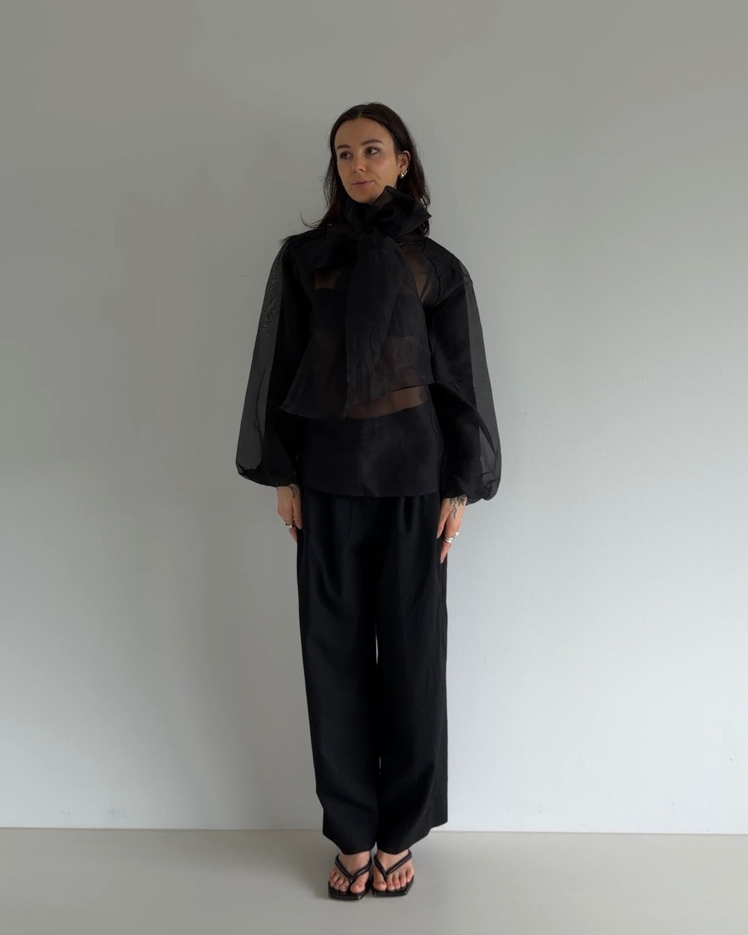 Sheer Organza Tie-Neck Blouse
