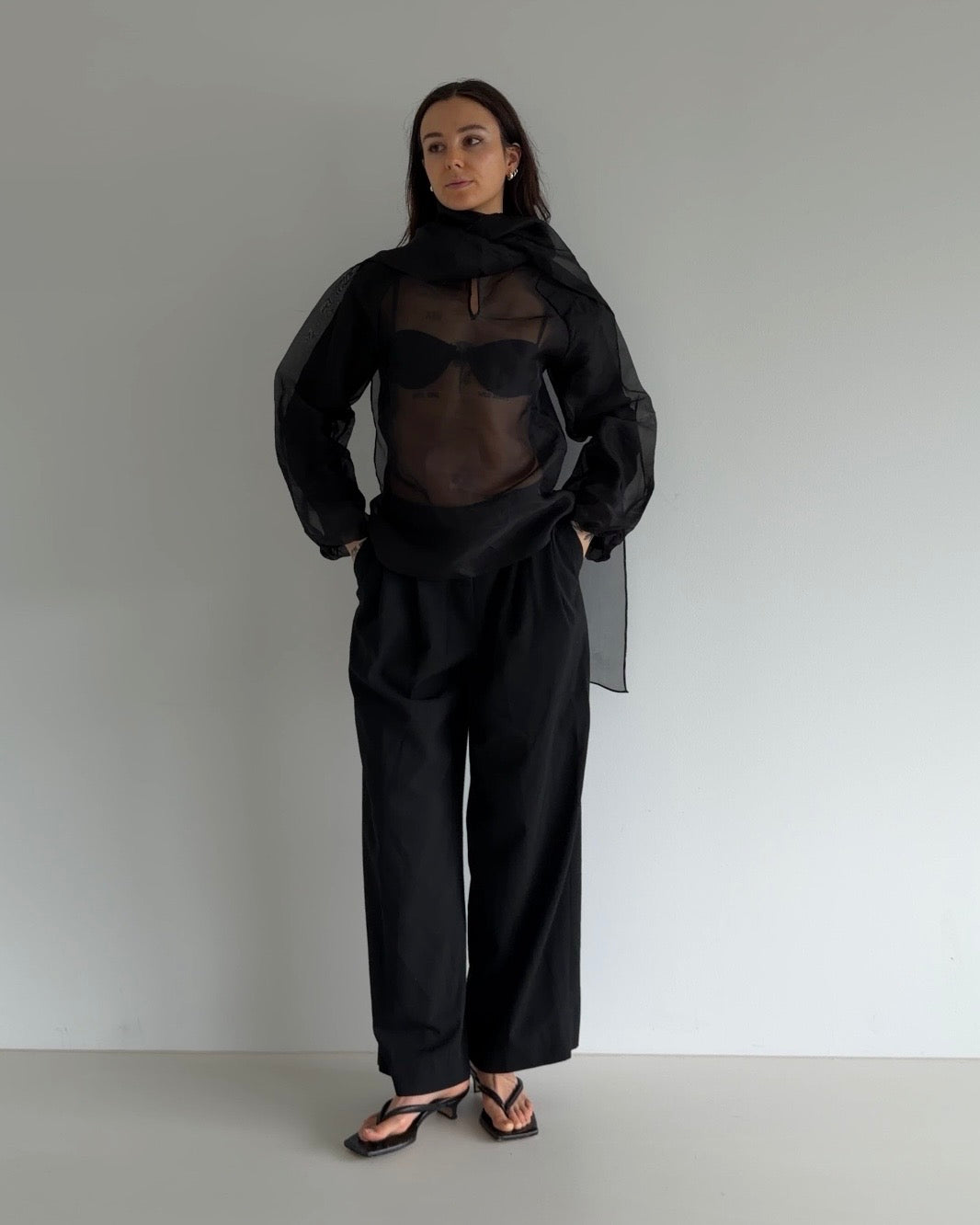 Sheer Organza Tie-Neck Blouse