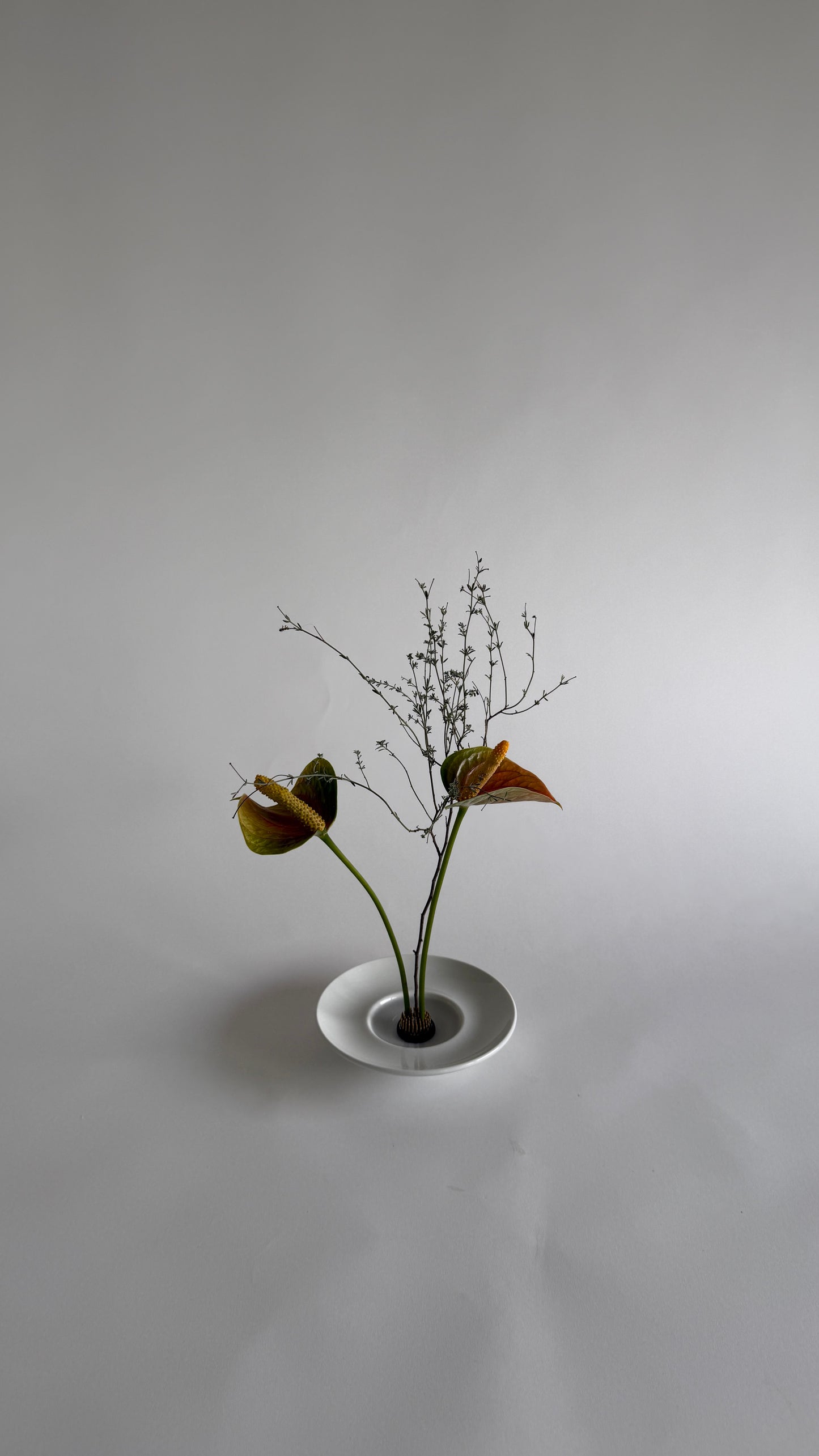 Ikebana Bowl