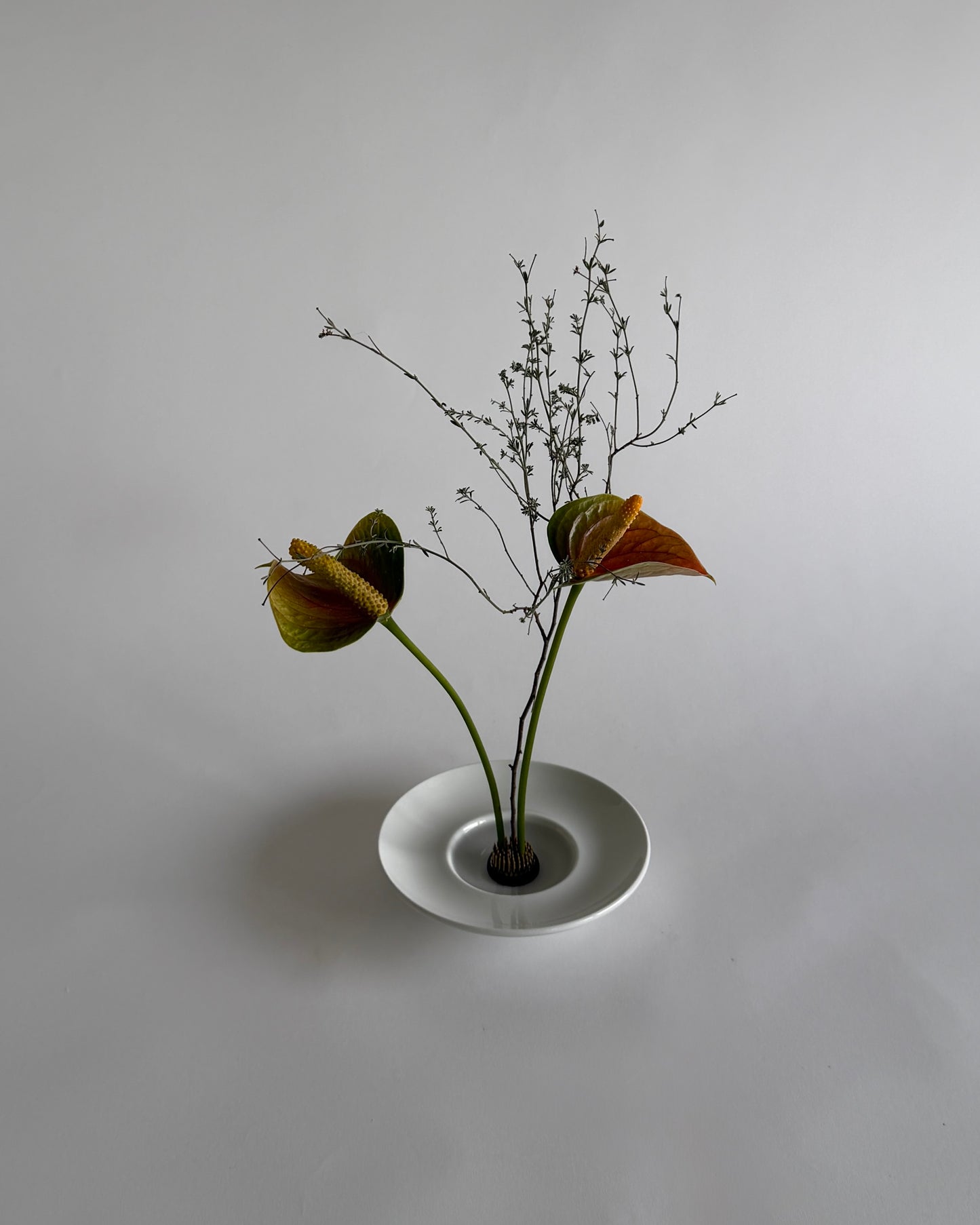 Ikebana Bowl