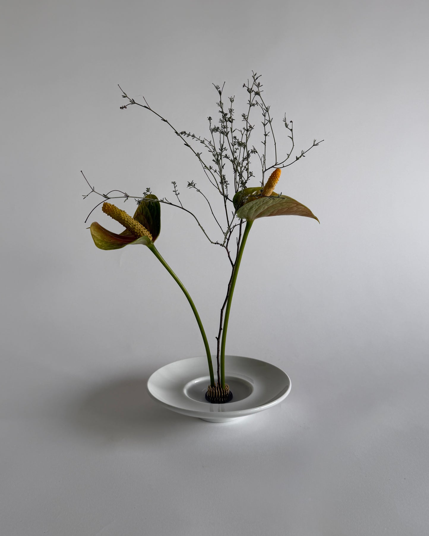 Ikebana Bowl