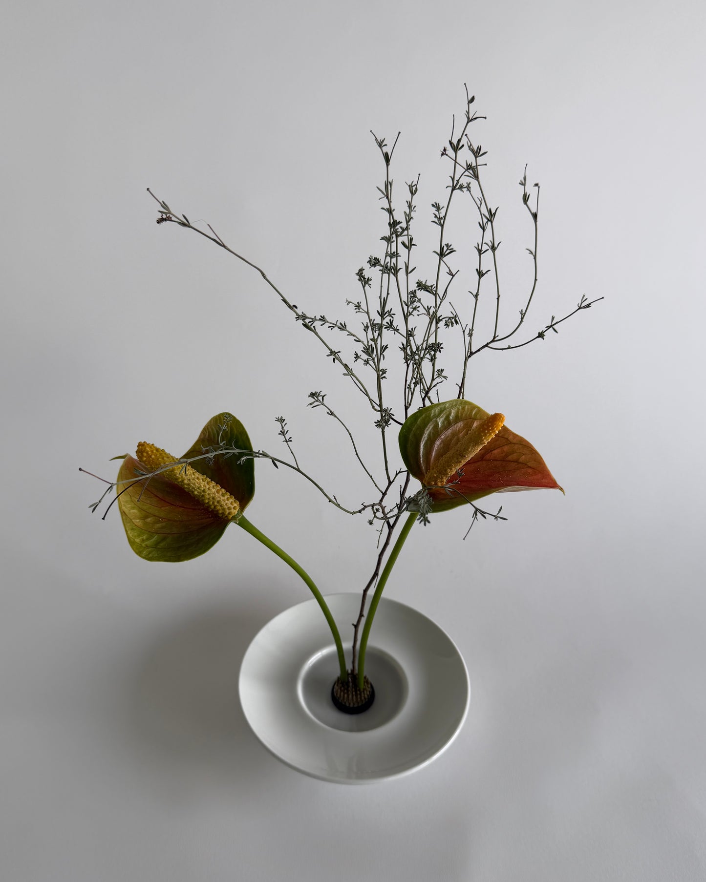 Ikebana Bowl
