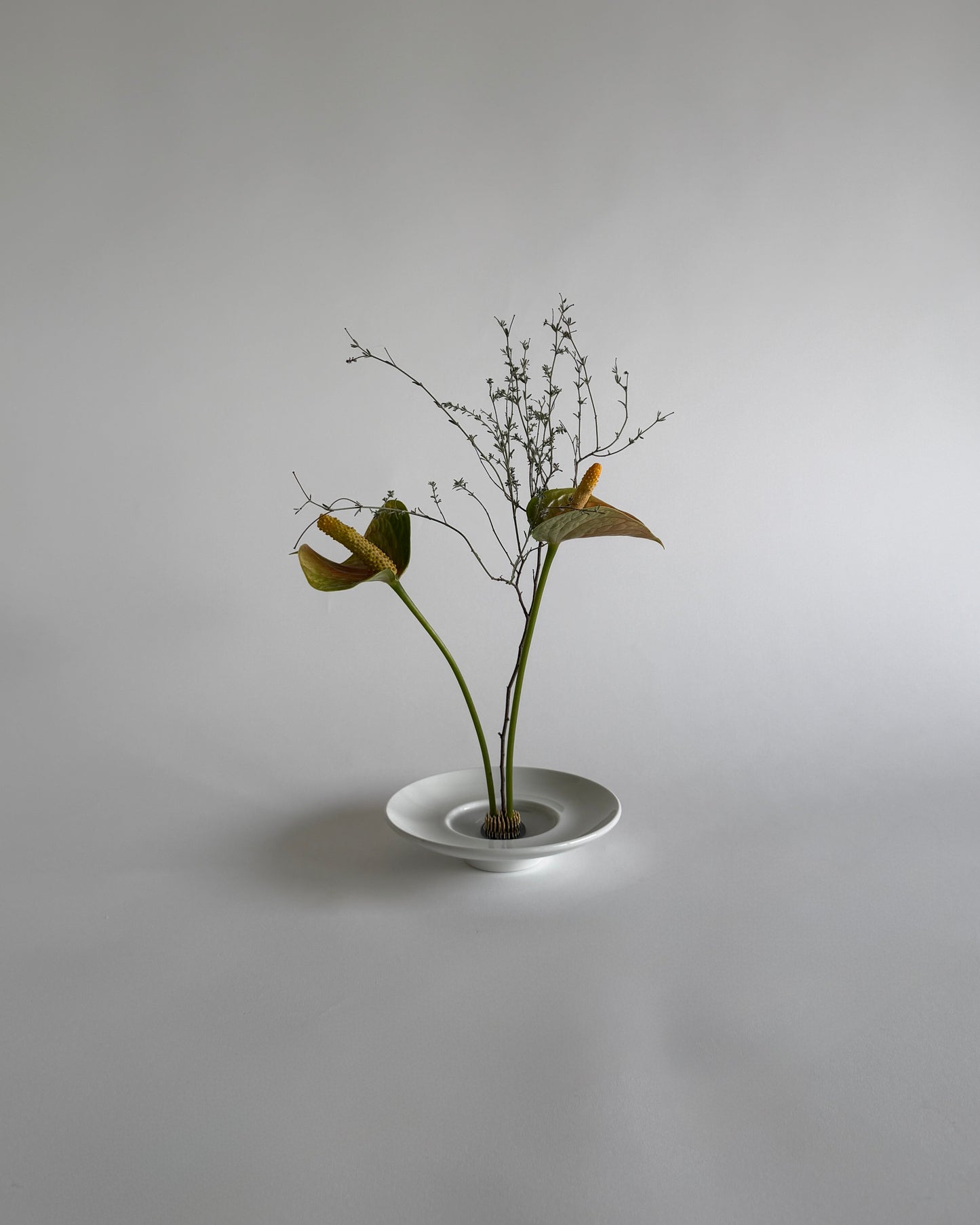 Ikebana Bowl
