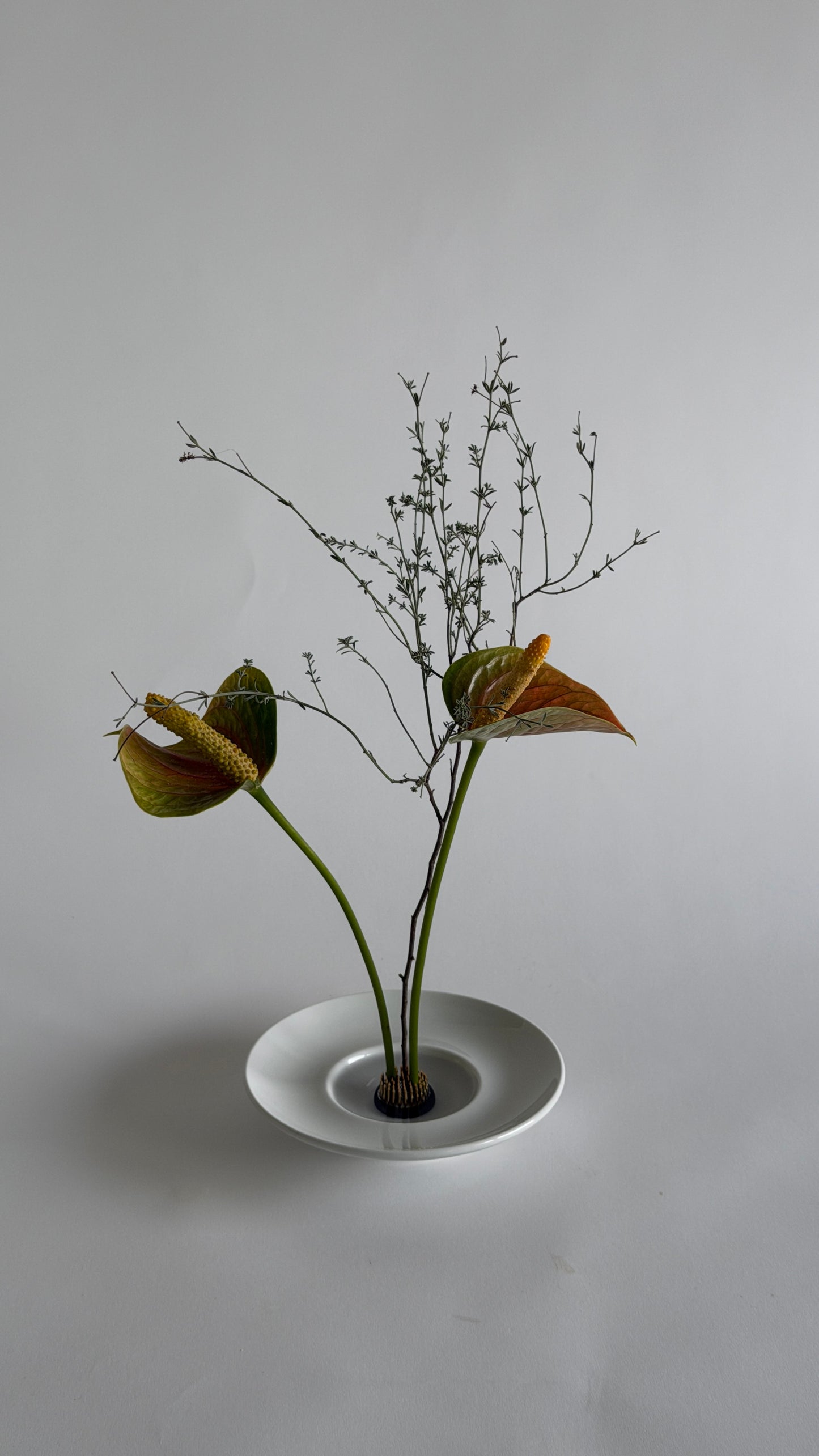 Ikebana Bowl
