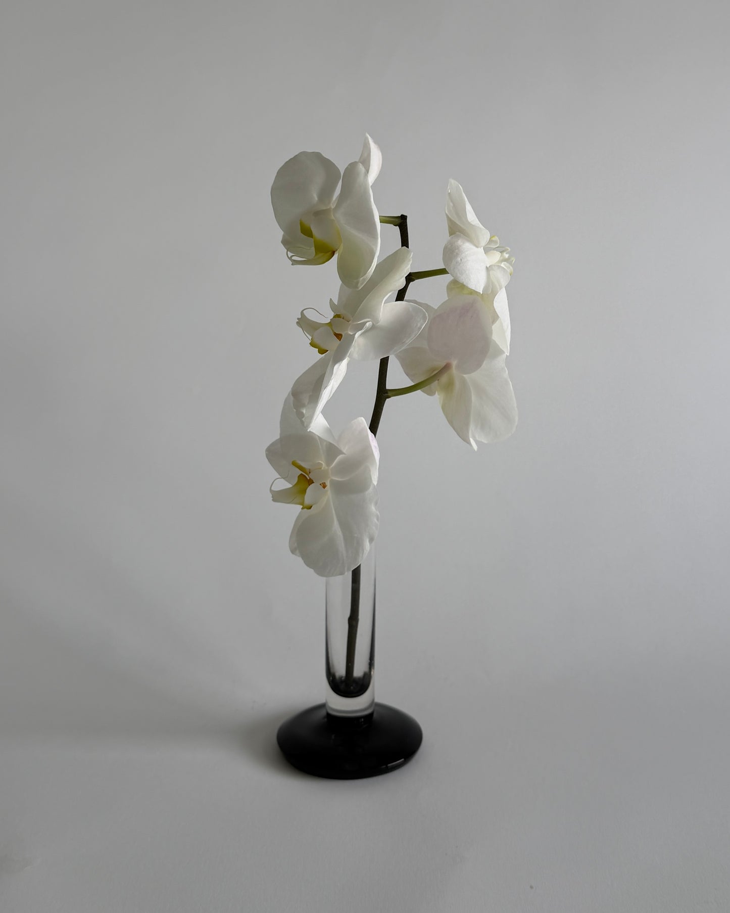 Vintage 60s Black & Clear Glass Bud Vase