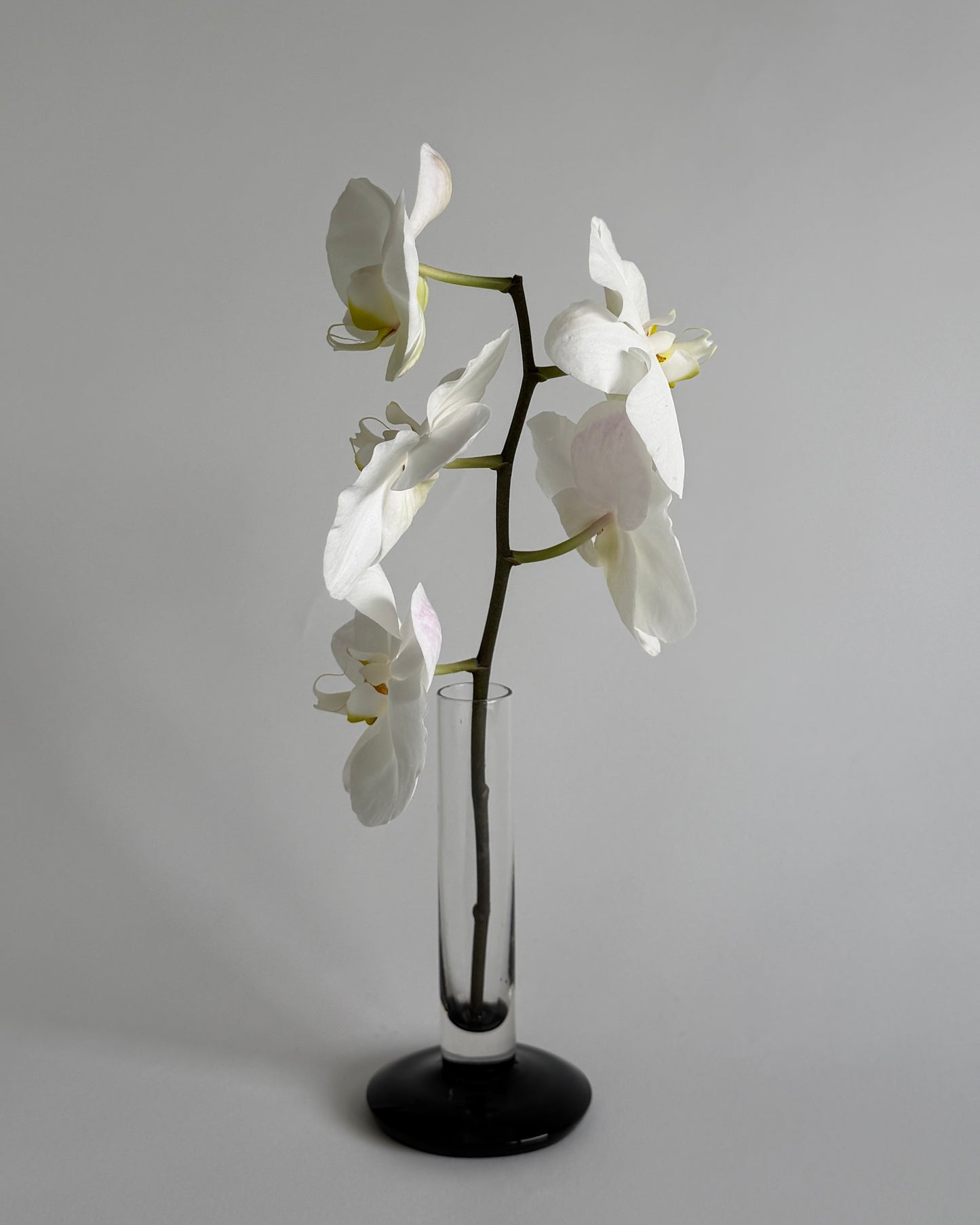 Vintage 60s Black & Clear Glass Bud Vase