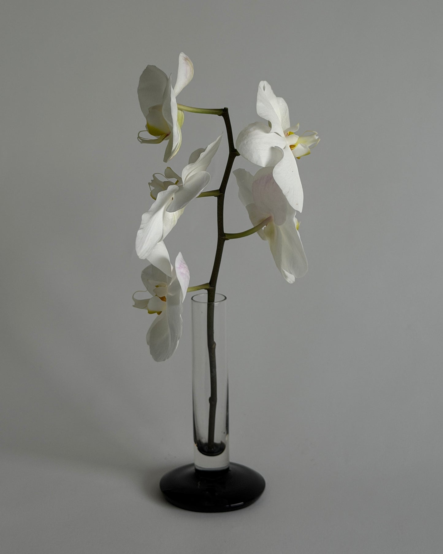 Vintage 60s Black & Clear Glass Bud Vase