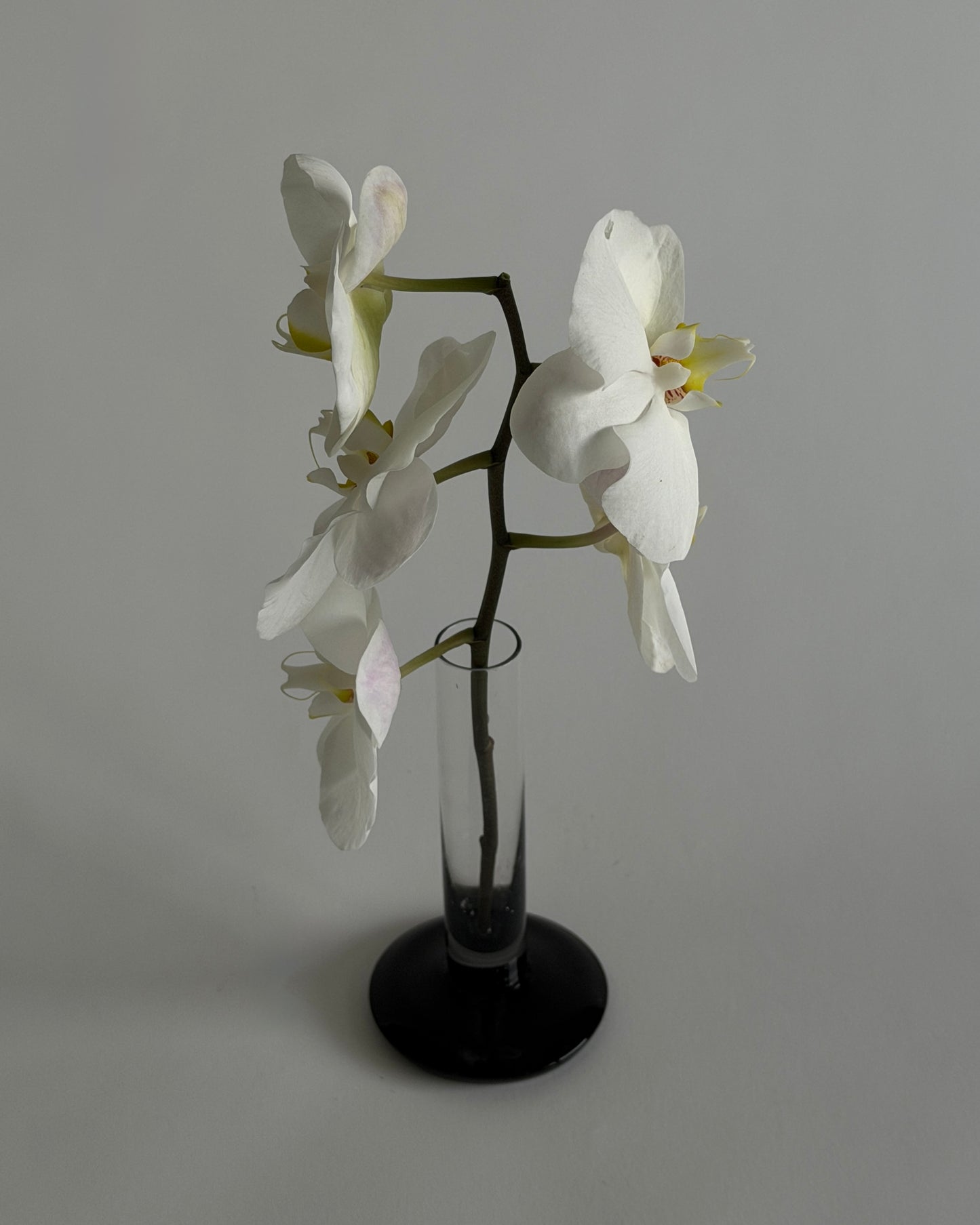 Vintage 60s Black & Clear Glass Bud Vase