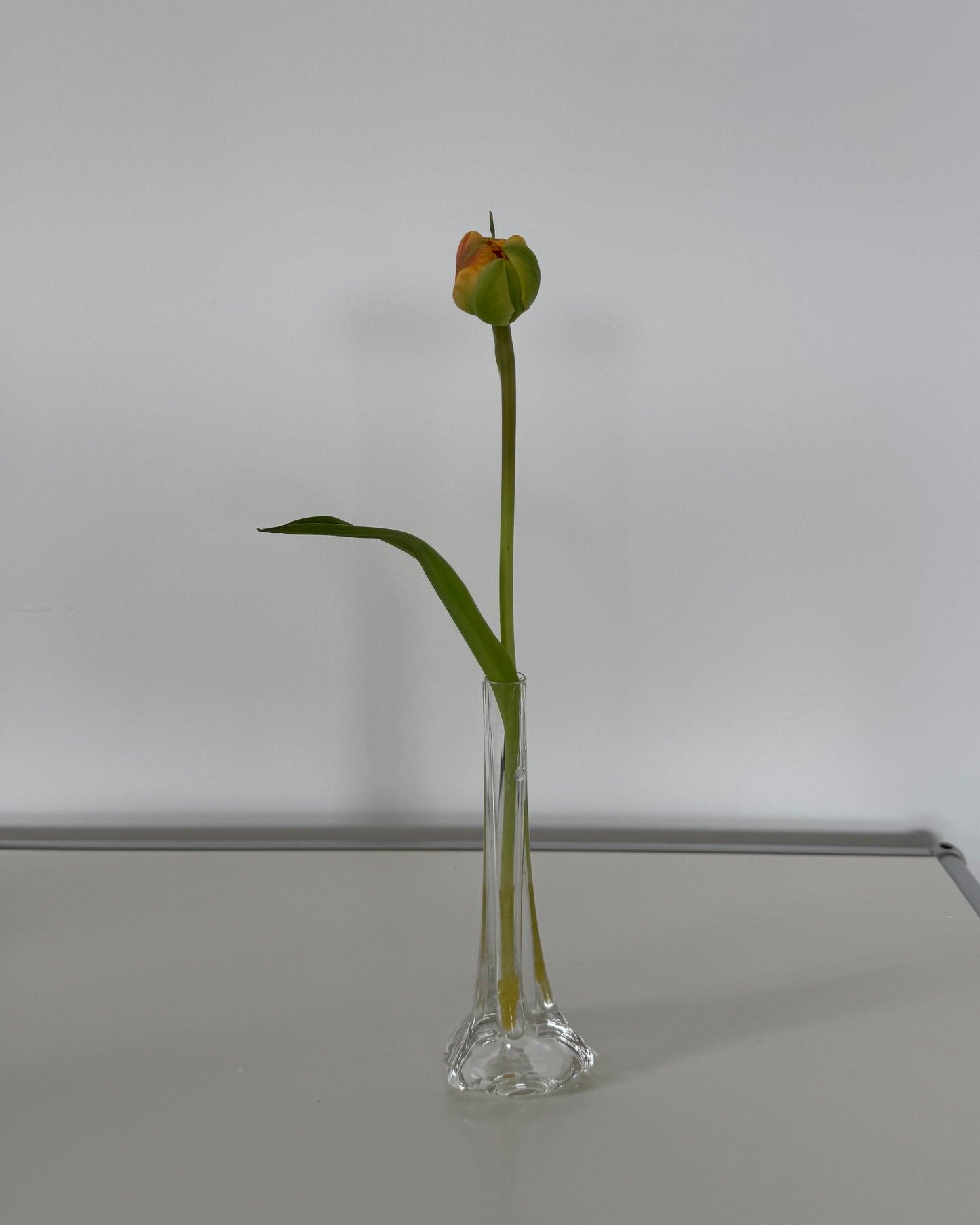 Small Glass Vase