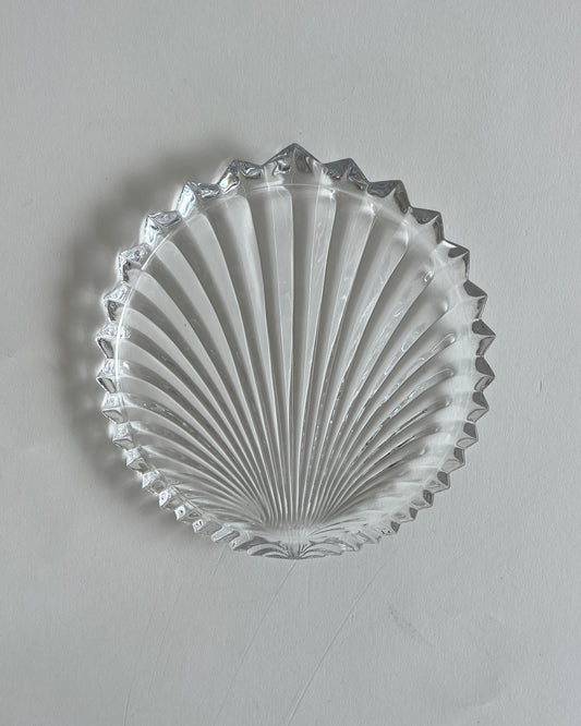 Shell Glas Plate